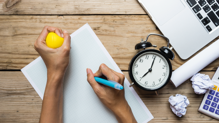 secretaria exercicio